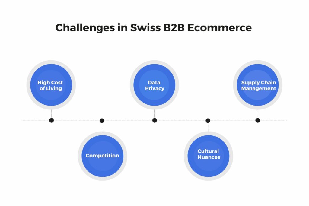 Challenges in Swiss B2B Ecommerce