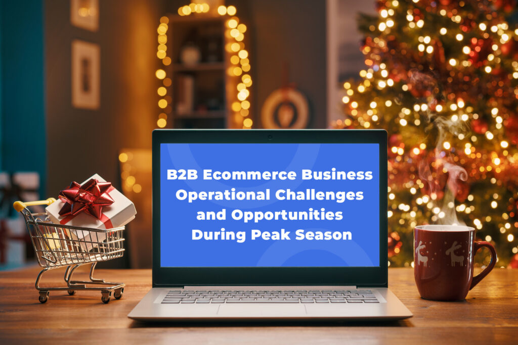 B2B ecommerce business operational challenges