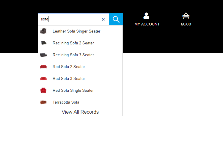 Cloudfy feature spotlight #7 – Predictive Search for B2B Ecommerce