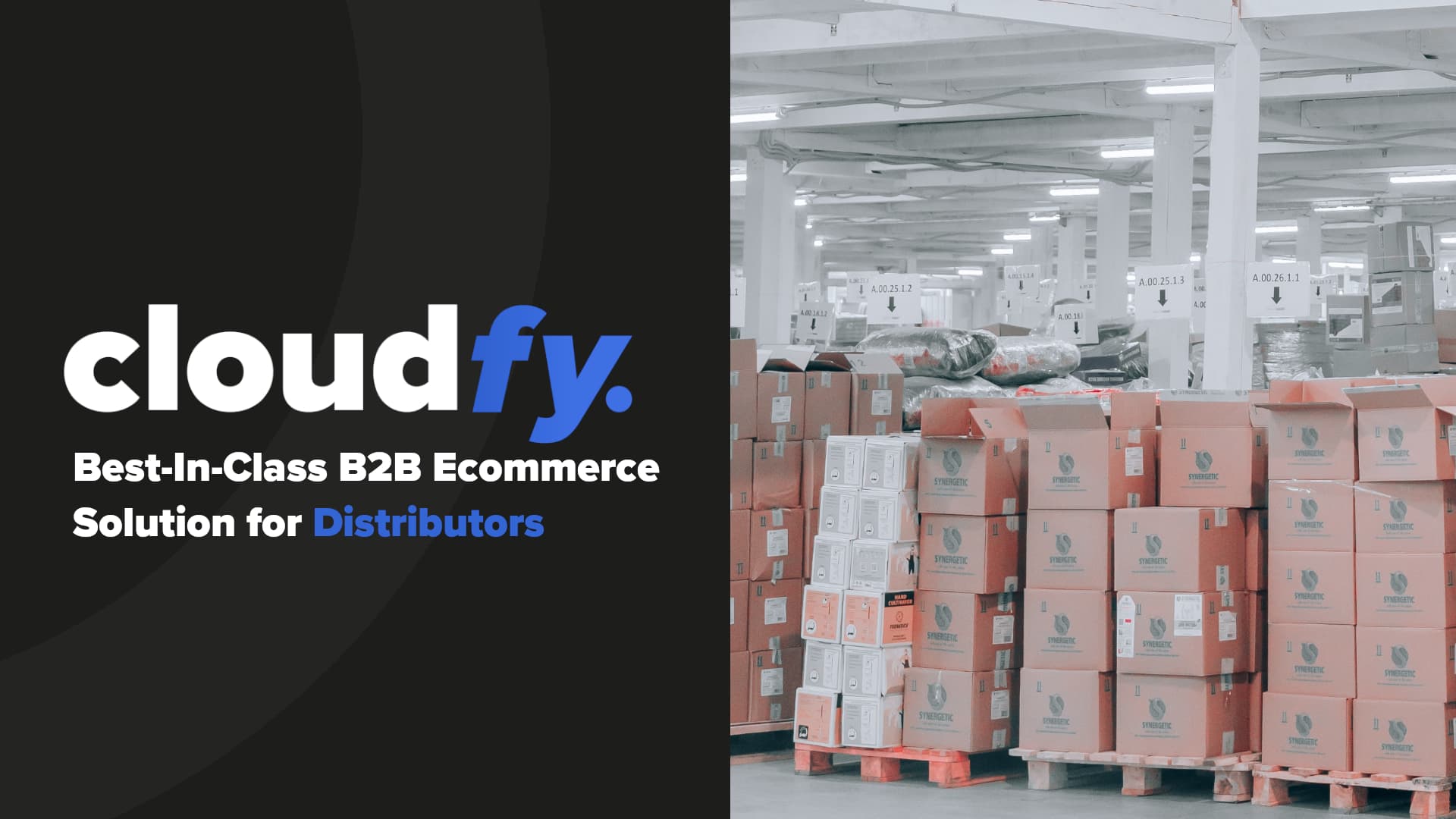 Intro slide for Youtube video about B2B ecommerce solutions for distributors