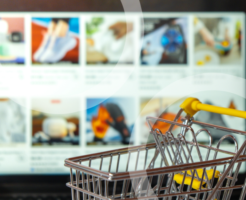 Product and Service Catalog for your B2B Ecommerce Store-2 Product and Service Catalog for your B2B Ecommerce Store-2