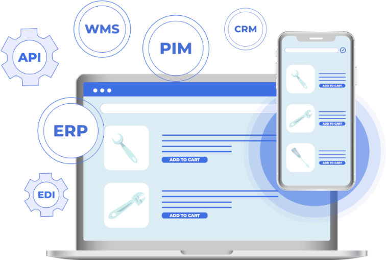 Ecommerce Software Integration